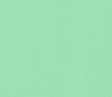 Mint Mint