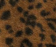 LEOPARDO TOSTADO LEOPARDO TOSTADO