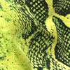 Reptil Neon Reptil Neon