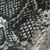 Reptil Gris Reptil Gris