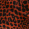 Reptil Naranja Reptil Naranja